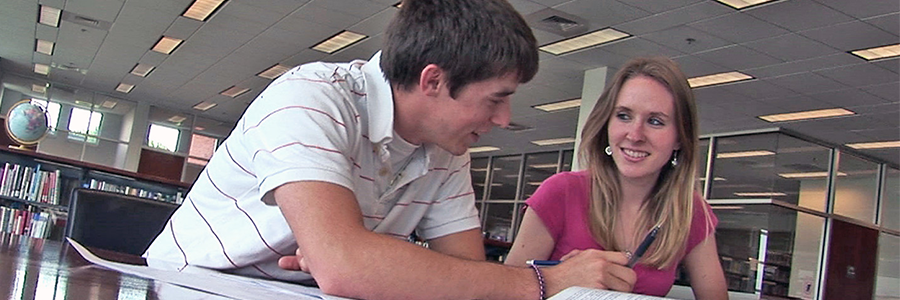 Two students using the library